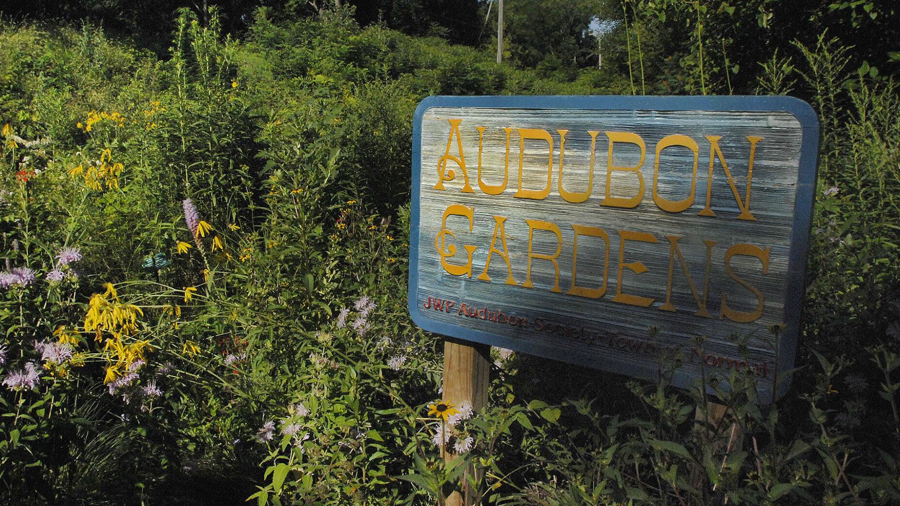 Watch now: Keeping the Audubon Garden blooming
